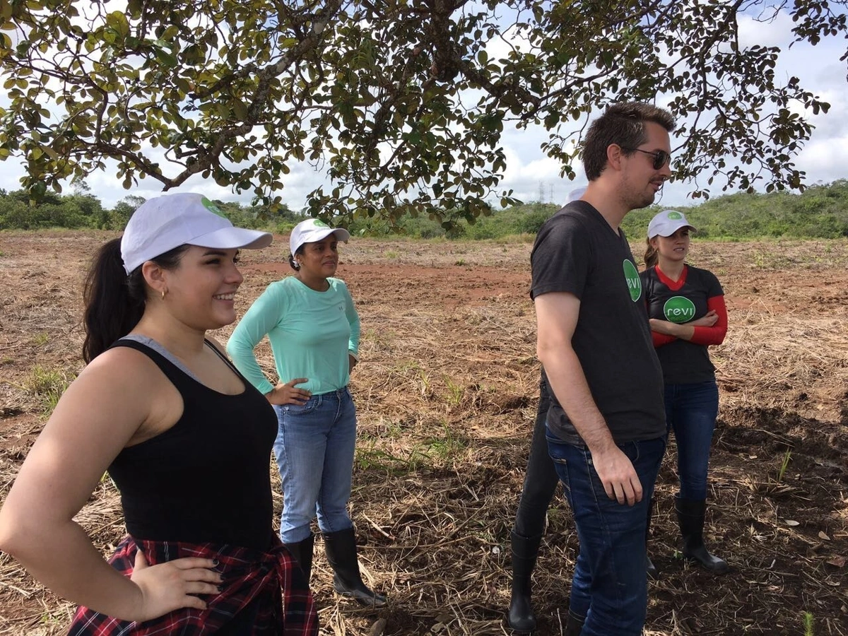 Business partnership tree planting photo