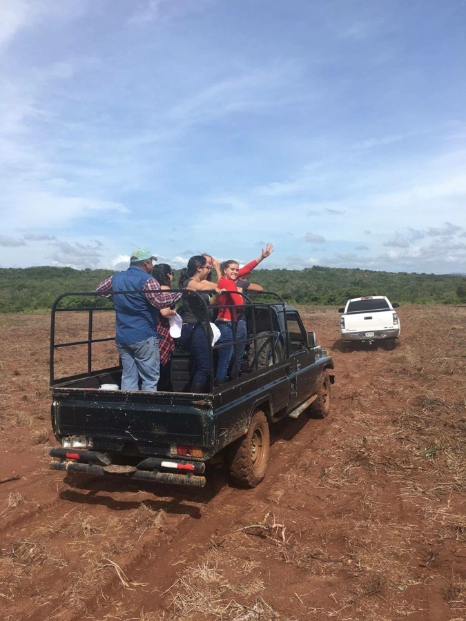 Business partnership tree planting photo